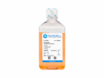 Wayne293® Transfection Medium,Liquid