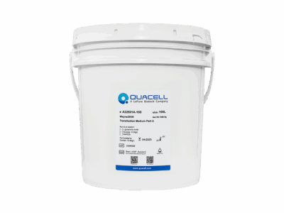 Wayne293® Transfection Medium,Powder
